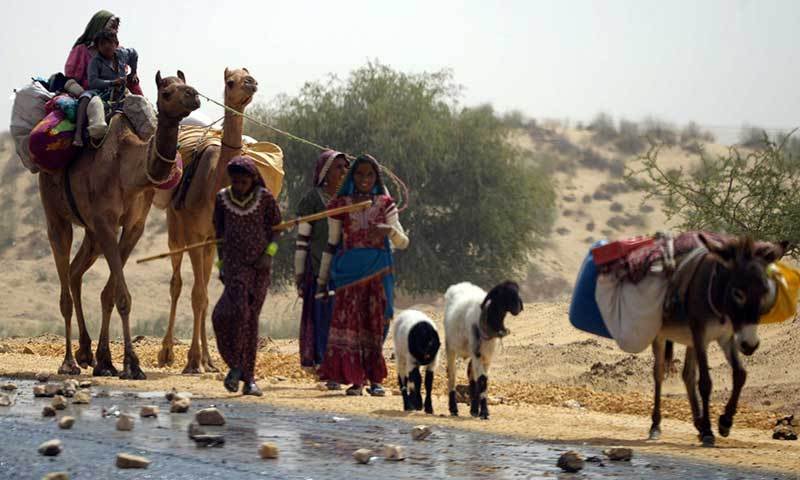 Village Patho Kolhi: victim of climate change and social inequality