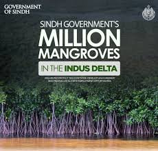 Potential Indus Mangroves Protect natural disasters