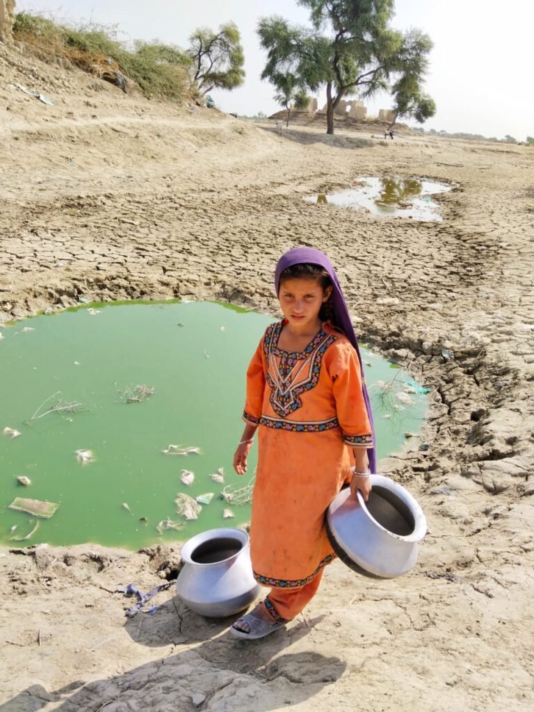 Rainwater goes waste in Kaccho-Dadu who cares?