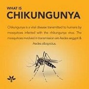 Climate Shifts Fueling Chikungunya Outbreaks in Karachi, says Nida Khuhro