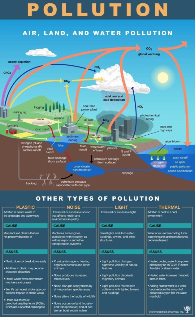 Silent Killers: Light, Noise & Plastic Pollution on Ecosystems UN Biodiversity