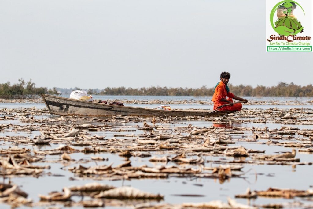 WWF-Pakistan Sounds the Alarm: Protect Wetlands Before It’s Too Late!