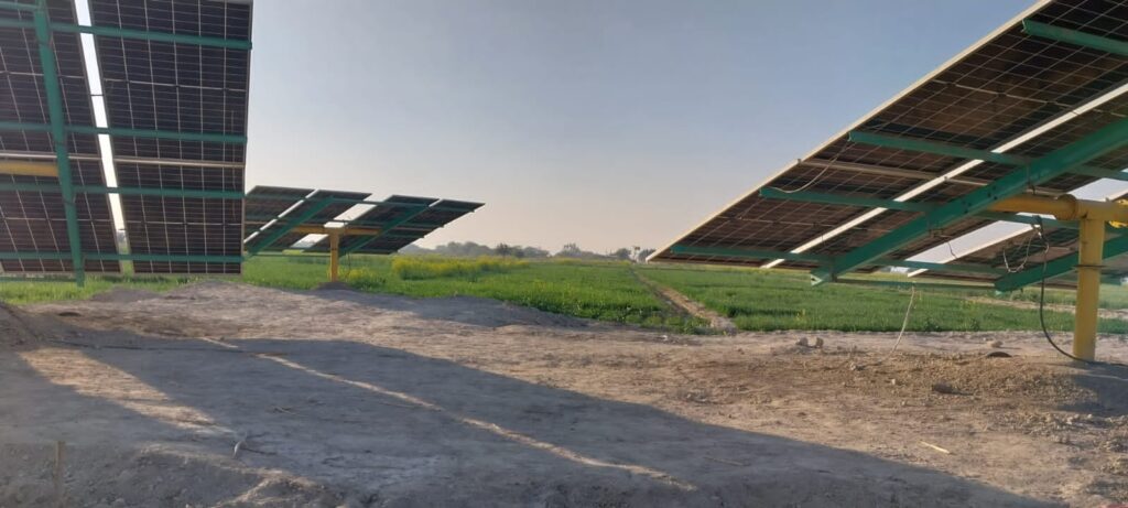 Harnessing the Sun Kachho’s farmers lead Sindh’s solar-powered agricultural shift