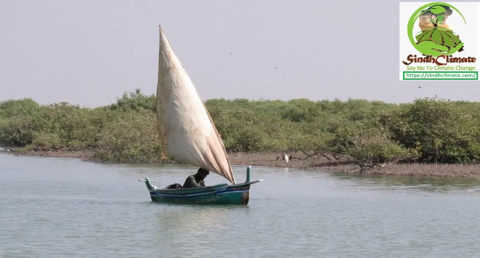 Where Rivers Die and Salt Reigns: The Collapse of Thatta and Badin