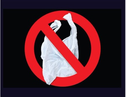 Eco-Friendly or Eco-Fraud? The Truth Behind Sindh’s Plastic Ban