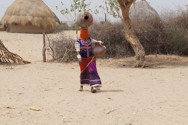 🌿 Tharparkar: A Desert That Refuses to Die