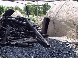 Breathing Black: How Charcoal Kilns Are Poisoning the Air of Badin